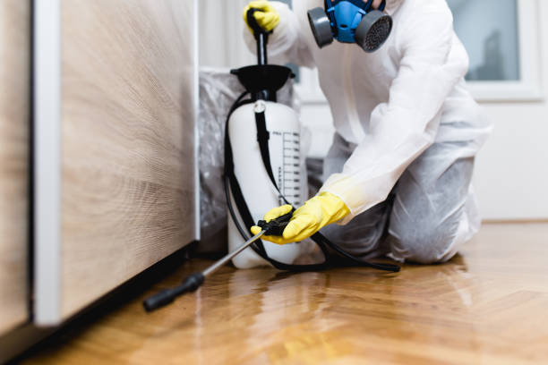 Best Best Pest Control Companies  in Calumet Park, IL