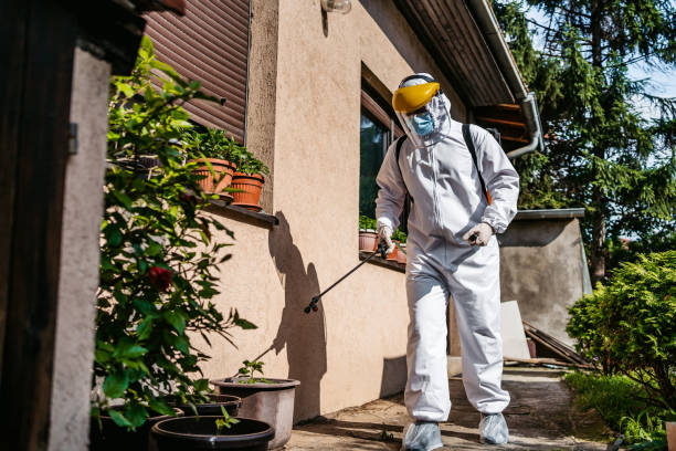Best Wasp Removal Services  in Calumet Park, IL